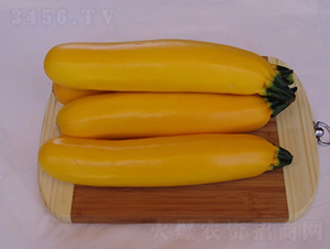 ������-�����J�N��-�A���N��