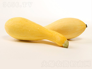 �A��1218-�����J�N��-�A���N��