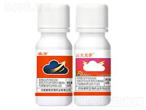 ҹ��+�ƴ���ȭ-�ێ�