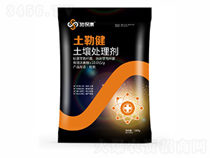 ����̎�턩-���ս�-ʩ����