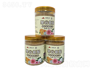 �۹Ȱ��Ứ��-�з�����