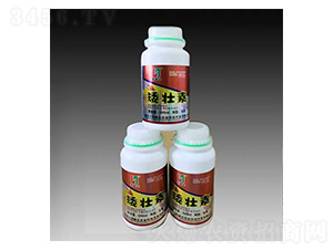 ������-��ʢ�_(d��)