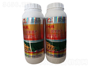 ���v�ڷ��f����-��ʢ�_(d��)