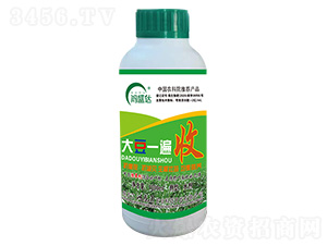 ��һ����-��ʢ�_(d��)