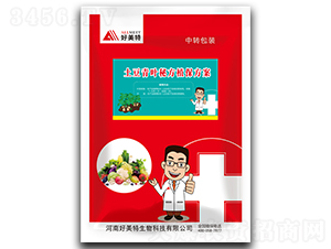 �������~�ط�ֲ������-������