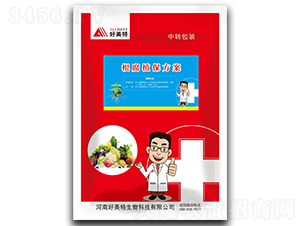 ����ֲ������-������