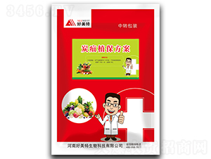 ̿��ֲ������-������