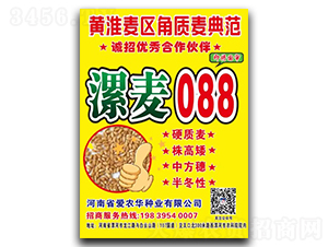 ����088-С���N��-��(��i)�r(n��ng)�A�N�I(y��)