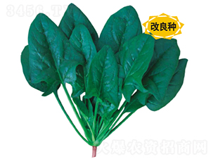 �r��A������-���˷N��-�V��