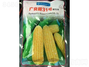 �V����31̖-���׷N��-�V��