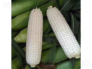 ���R����-���׷N��-�V��