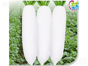 �´��}����3A��-�}���N��-�V��