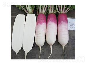 �|���}��-�}���N��-�V��