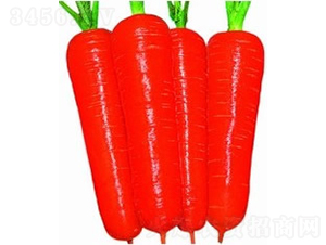 ������3̖�s���ߴ���}��-���}���N��-�V��