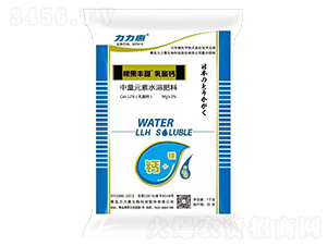 �����}-�����S��-����������