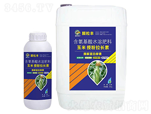 �����ڷ����L��-�w���S-�i�_���r(n��ng)