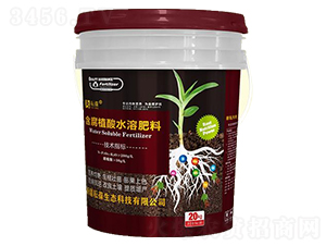 ����ֲ��ˮ�ܷ���-����