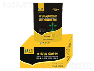 1KG�VԴ�S�����-����