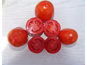 �A��1704-�ӹ����ѷN��-�A���N��