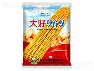 ���׷N��-���969-����N�I(y��)