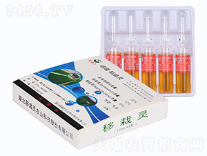 �����`-�����`�r(n��ng)�I(y��)