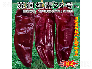 �K��(r��n)�t��25̖(h��o)-�����N��-�K��(r��n)�N�I(y��)