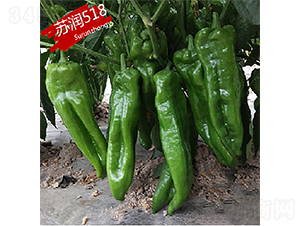 �K��(r��n)518-�����N��-�K��(r��n)�N�I(y��)