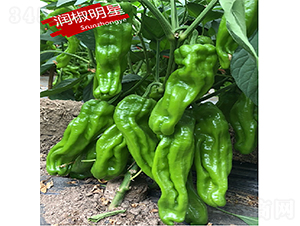 ��(r��n)������-�����N��-�K��(r��n)�N�I(y��)