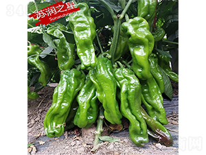 �K��(r��n)֮��-�����N��-�K��(r��n)�N�I(y��)