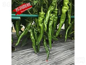 �K��(r��n)�]��-�����N��-�K��(r��n)�N�I(y��)