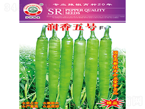 ��(r��n)����̖(h��o)-�����N��-�K��(r��n)�N�I(y��)