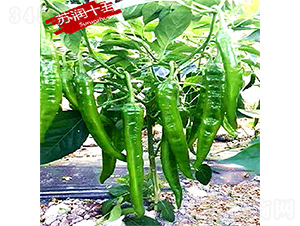 �K��(r��n)ʮ��-�����N��-�K��(r��n)�N�I(y��)