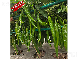 �K��(r��n)��ʮ��-�����N��-�K��(r��n)�N�I(y��)