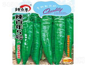 ������5̖-�����N��-�K���N�I(y��)