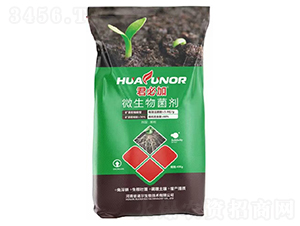 ���ؼ�΢�������-�Z������