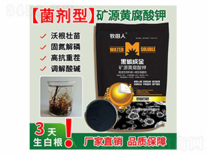 黑碳成金礦源黃腐酸鉀-牧田人