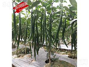 �K������-�����N��-�K���N�I(y��)