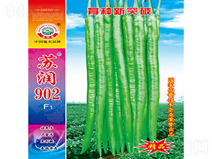 �K��902-�����N��-�K���N�I(y��)