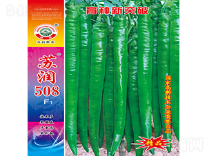 �K��508-�����N��-�K���N�I(y��)