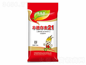 �S�´���21-�S�¿�