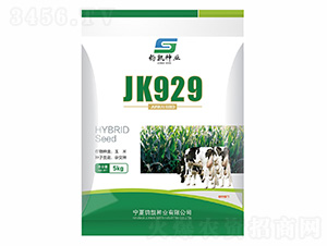 JK929-���ɷN�I(y��)