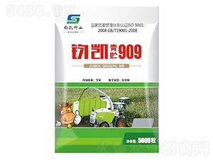 �x�P���A909-���ɷN�I(y��)