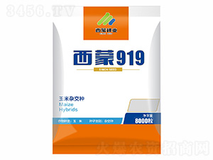 ����919-���ɷN�I(y��)