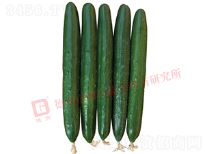 �¸��A��6̖(h��o)�S��-�S�ϷN��-�¸߷N�I(y��)