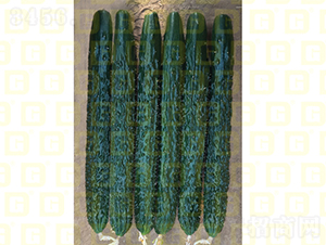 �¸�C5�S��-�S�ϷN��-�¸߷N�I(y��)