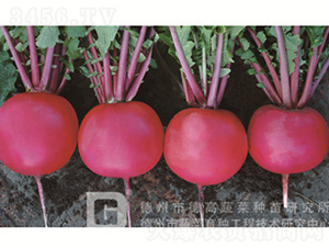 �tƤ�}��-�t��1̖-�}���N��-�¸߷N�I(y��)