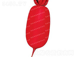 �tƤ�}��-�׼t-�}���N��-�¸߷N�I(y��)