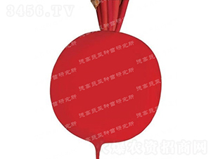 �tƤ�}��-�t���-�}���N��-�¸߷N�I(y��)