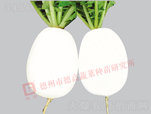 ���}��-�ߠ���-�}���N��-�¸߷N�I(y��)