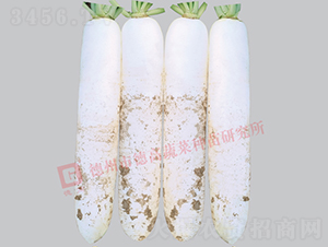 ���}��-�¸�R192-�}���N��-�¸߷N�I(y��)